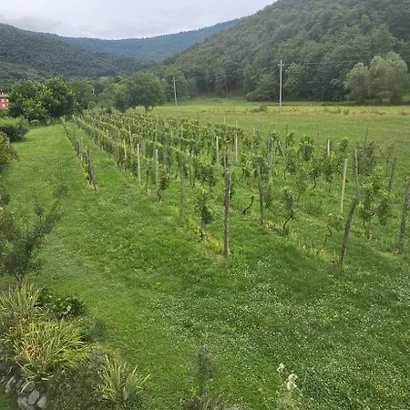 Pensión Noi- Casa Attimis